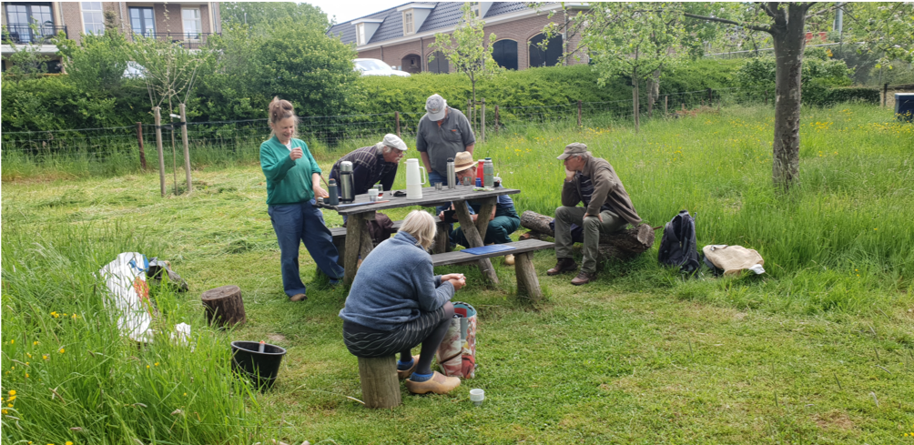 Boomgaard kijken hoe het gras groeit