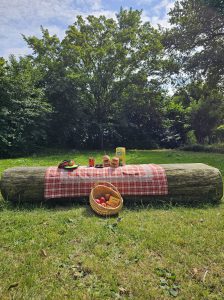 Zomer in Beinum? Tijd voor een gezellige picknick!