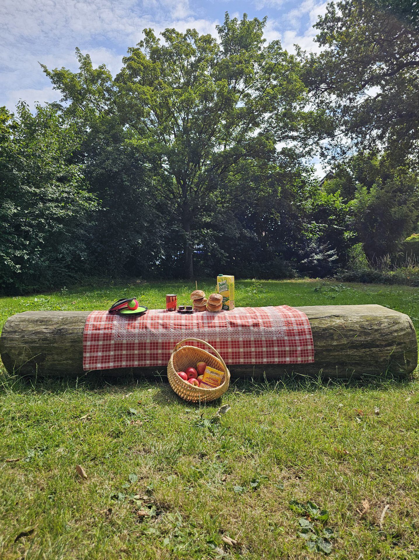 picknicken in de wijk Beinum Doesburg