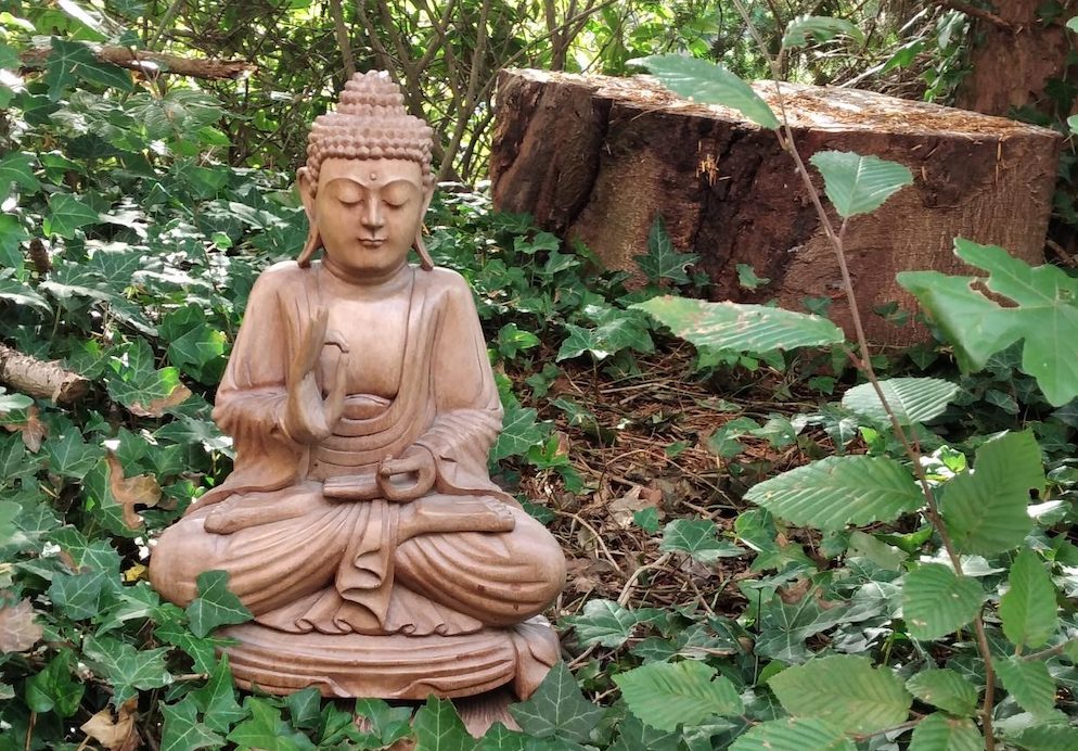 meditatie-sessies met Edith