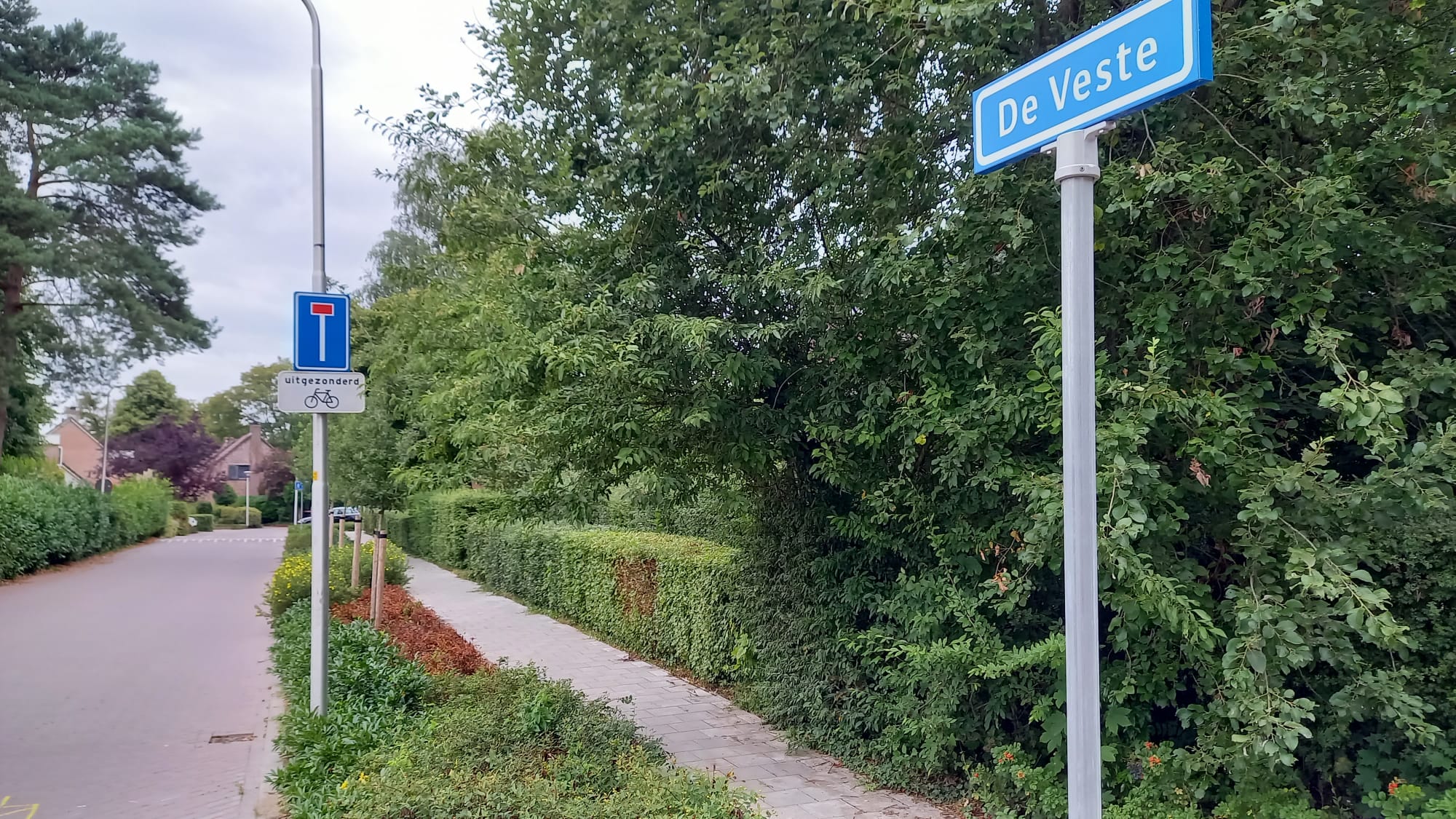 De Veste