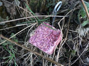 Waarschuwing: rattengif aangetroffen in de wijk