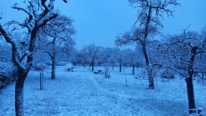 Winterse sfeer in De Boomgaard Beinum