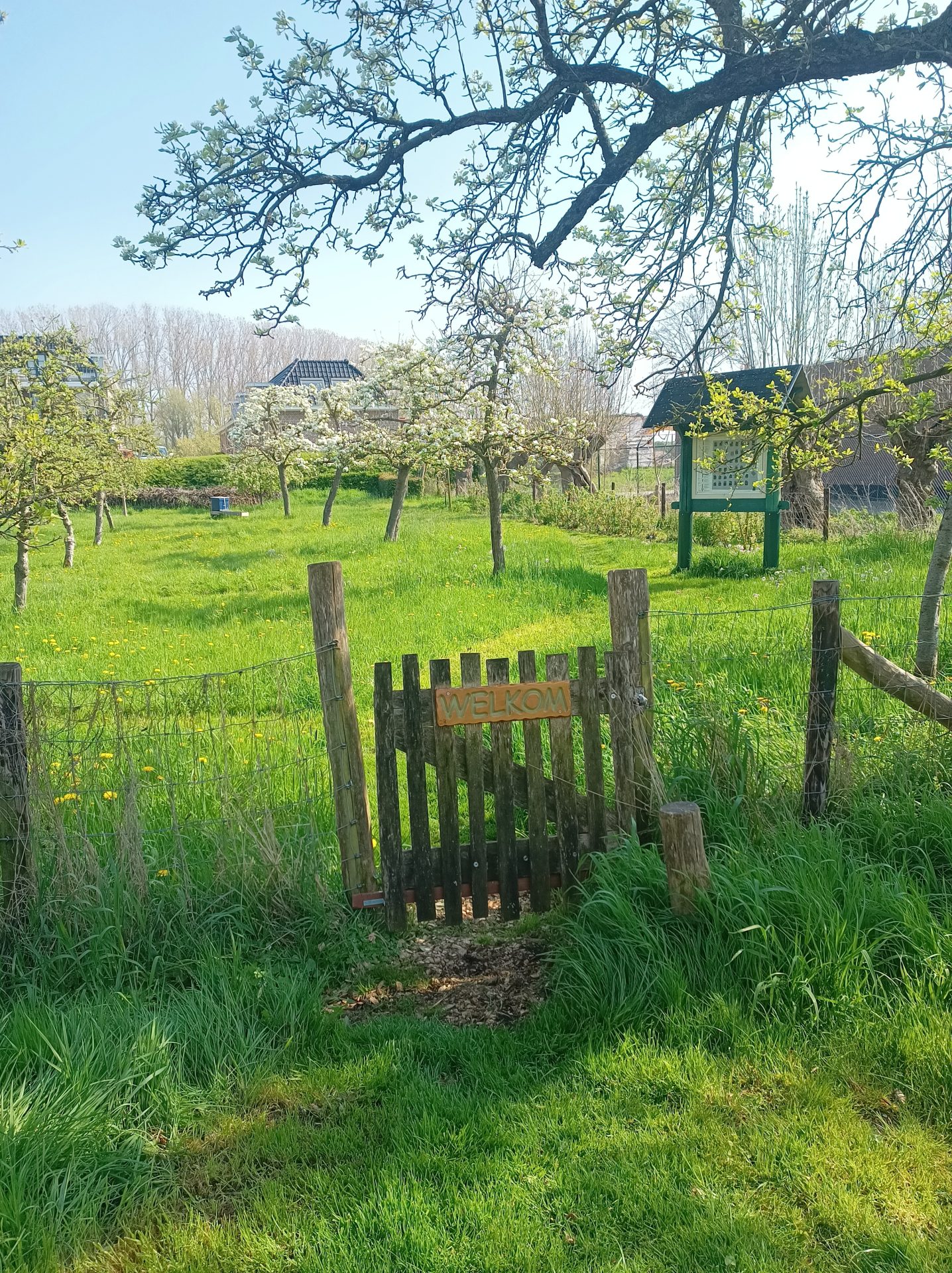 Boomgaard Beinum Vrijwilligers